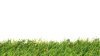 Comment éliminer efficacement les mauvaises herbes sur une pelouse artificielle ?
